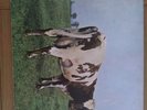 Pink Floyd Atom Heart Mother UK VINYL LP 1970 Original.