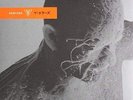 THE HORRORS-V - REMIXED NEW VINYL