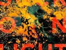 Boy & Bear - Suck On Light LP NEW