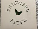 the stone roses beautiful thing 12 Inch