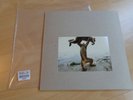 Shellac - Dude Incredible (Vinyl LP)