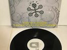 The Sugarcubes - Here today, Tomorrow Next Week vinyl 1989