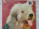 THE SHAGGY DOG SOUNDTRACK RARE RED LABEL Lp RECORD DISNEYLAND WDL-1044 US 1959
