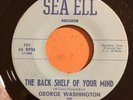GEORGE WASHINGTON The Back Shelf Of Your Mind 45 Sea Ell TX Garage jangle HEAR