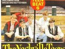 The Nashville Teens GERMANY Vinyl Single 7inch NEAR MINT Decca