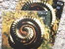 NIN Nine Inch Nails Further Away Closer to God UK 1994 double 12