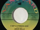 JUNIOR WELLS (I Got A) Stomach Ache / Shake it Baby Vanguard Mod R&B VG+ 45 HEAR