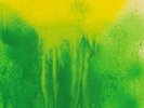 HashFinger - Dandelions Vinyl LP NEU 09543735