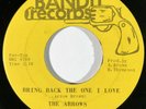ARROWS Bring Back the One I Love / We Have Love Bandit Crossover Soul 45 HEAR