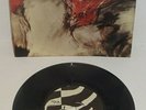 THE POP GROUP SHE IS BEYOND GOOD AND EVIL 1979 RADAR 7