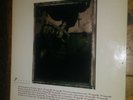 The Pixies, Surfer Rosa Vinyl, 1988, VG, CAD 803 ROUGH US 38, 4AD Rough Trade