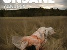 UNSANE-Visqueen LP (2008, Noiserock, Helmet, Jesus Lizard, Shellac) MEGA RAR