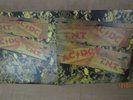 AC/DC-TNT-Gatefold Cover