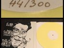 WASTED YOUTH Reagan’s In LP/300 HC punk black flag circle jerks cockney rejects