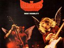 THE HELLACOPTERS High Visibility 2xLP (Limied edition logo etching)