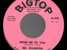 Beatles (Del Shannon) 