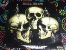 1973 ORIGINAL SKULL SNAPS SELF TITLED RARE FUNK VINYL RECORD GSF-S-1011