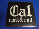 CAL ROCK & ROLL  Homegrown  PRIVATE Hard Rock Psych LP Orig 1982 SEALED