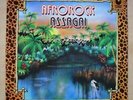 ASSAGAI AFROROCK LP RARE 1971 RE-ISSUE OF THE ZIMBABWE ALBUM UK