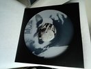 WHITE ONYX ELEPHANTS (Anna Varney) lim. 173 clear Vinyl 12