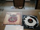 Archgoat/Surrender Of Divinity Split