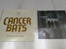 Cancer Bats Dead Set On Living Rare Grey Vinyl LP New