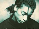 Terence Trent DArby Introducing The Hardline Vinyl LP New 2019