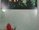 The Fragile [Definitive Edition] by Nine Inch Nails Vinyl Triple LP