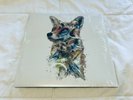 StarFox Soundtrack Vinyl Record LP - Hajime Hirasawa SNES VGM Rare OOP