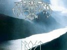 Enslaved - Frost LP
