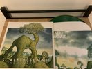 The  Migration by Scale the Summit Vinyl LP Green Disc