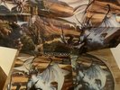 Power Of The Dragonflame By Rhapsody Vinyl LP Picture Disc RARE