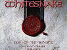 Whitesnake : Slip of the Tongue: 30th Anniversary Remaster MMXIX VINYL 30th