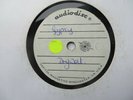 GYPSY   DRY WELL - ONE SIDED CAPITOL MAGNETICS AUDIODISC ACETATE - ***RARE***