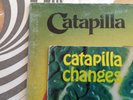 CATAPILLA VERTIGO S/T + CHANGES - UK ORIGINALS 1971+1972 VRARE PROG SWIRL