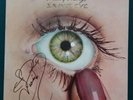 THE PRETTY THINGS - 'SAVAGE EYE' Swan Song UK LP 1975 Signed by Twink