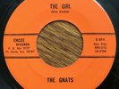 THE GNATS The Girl 45 on Emcee Ft Worth Texas garage HEAR