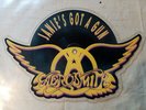 AEROSMITH janie's got a gun..SHAPE PICTURE DISC.GEFFEN-GEF 68P  YEARS 1989