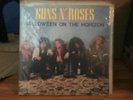 Guns N Roses 2 Bootleg LPs and Poison Flesh and Blood LP