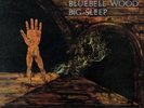 Big Sleep Bluebell Wood Vinyl lp  ltd /500 reissue MBLP1006 rare psych