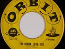 KENNY BAKER: I’m Gonna Love You ORBIT Rare Rockabilly 45 Orig HEAR