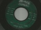ROCKABILLY bw DOOWOP TEEN-- DAVID GATES - YOU'LL BE MY BABY - HEAR- 1960 MALA