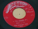 ROCKABILLY BOPPER 45 - MAC SALES & ESQUIRE TRIO - GAL NAMED JOE - METEOR