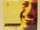 Shaggy - Hot Shot LP FIRST U.S. PRESSING NEAR MINT