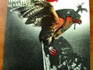 1974 Budgie 