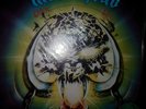 Motorhead Overkill Green Limited Edition LP