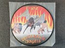 Desolation Angels - Fury / Picture Disc Vinyl