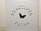 The Stone Roses Beautiful Thing 12