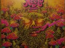 Necro ?– Adiante LP Neu