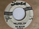 Beatles she loves you / I’ll get you 45 Promo Rare Swan